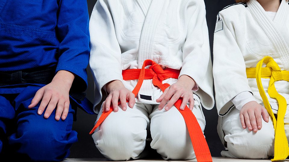 Testa judo på höstlovet!