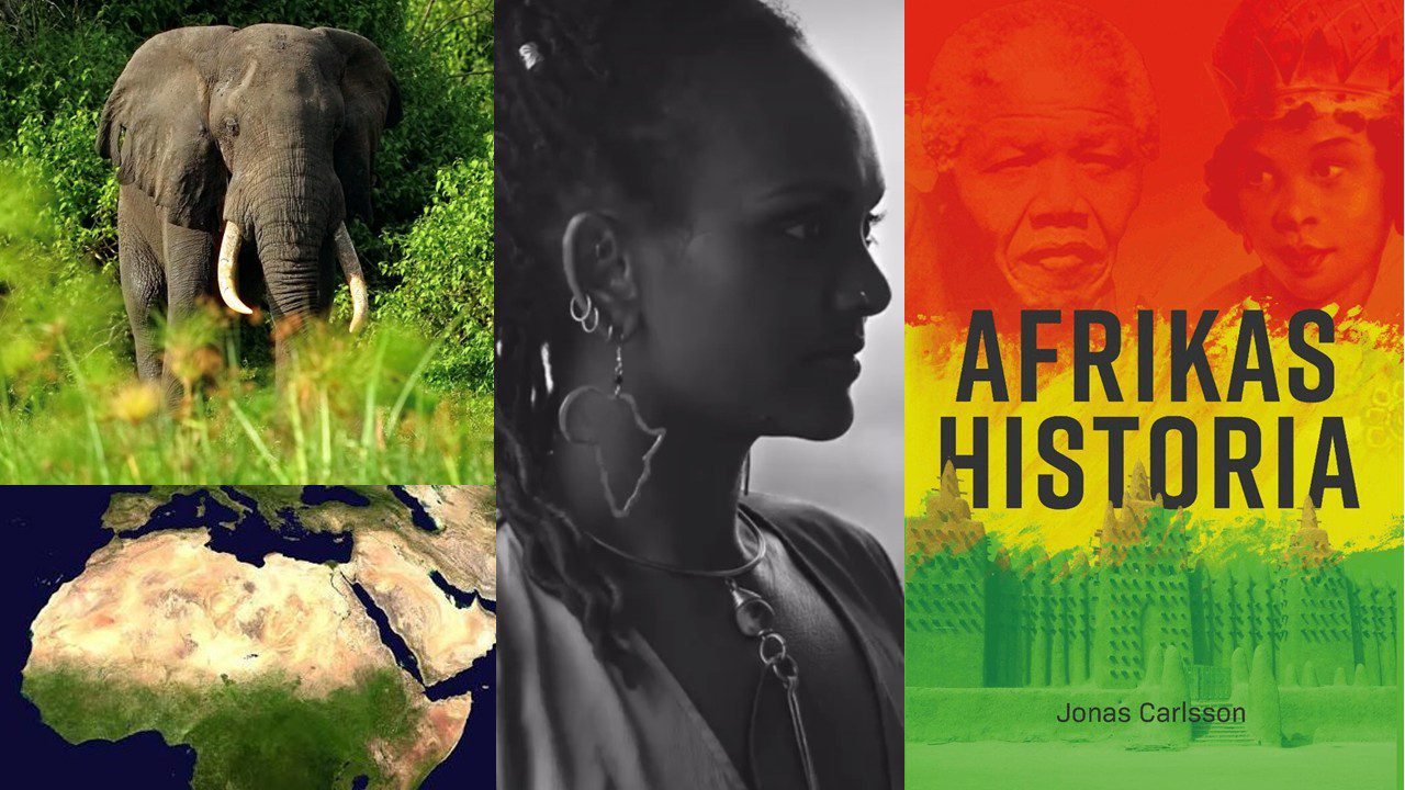 Afrika runt lunchbordet Information
