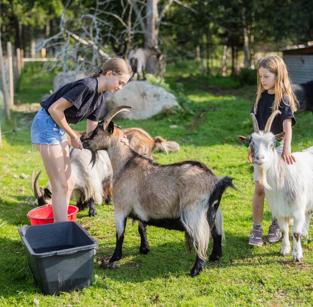 Gårdsrundan 19-20 september
