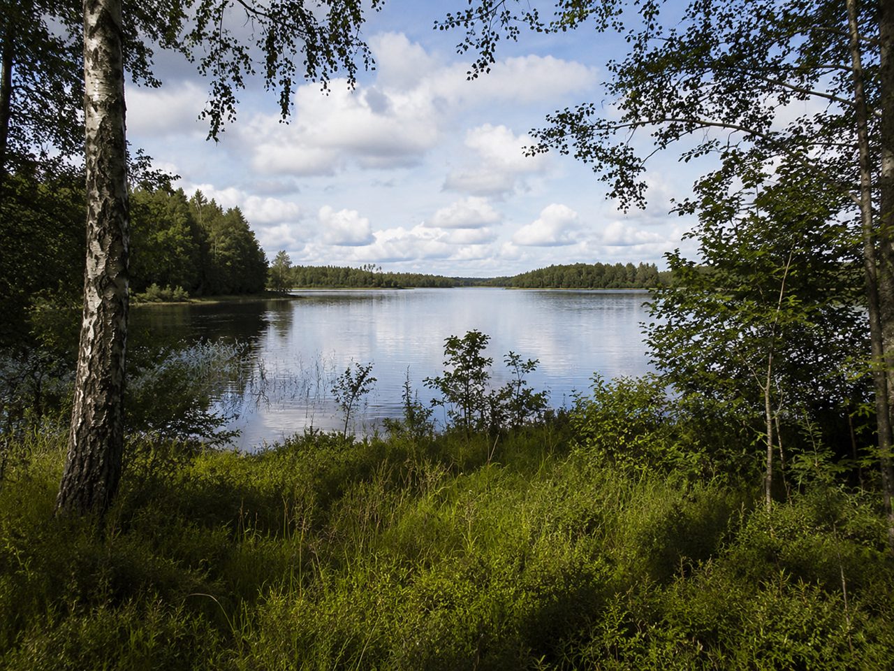 Berättelsen om Fornbolmen – stenålderns Småland