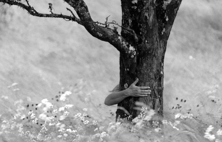 WHY SHY  Christine Tibratt  Fotoutställning            