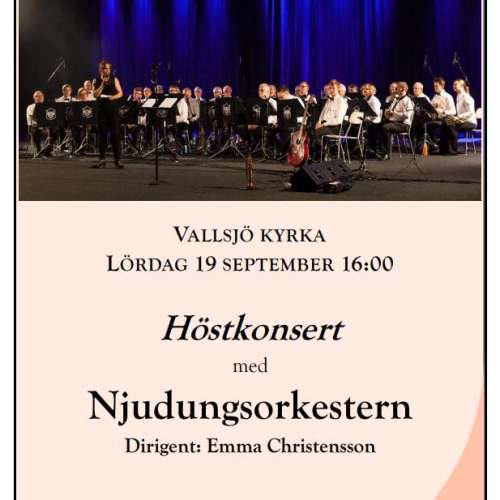 Njudungsorkestern från Vetlanda