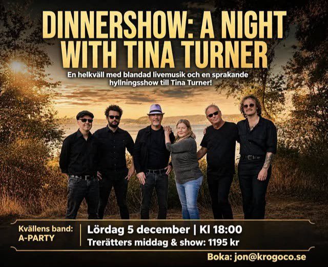 Dinnershow: A Night with Tina Turner