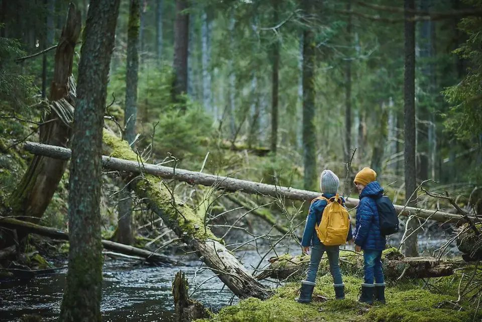 Föreläsningen Kramar  och ramar Petra Krantz   