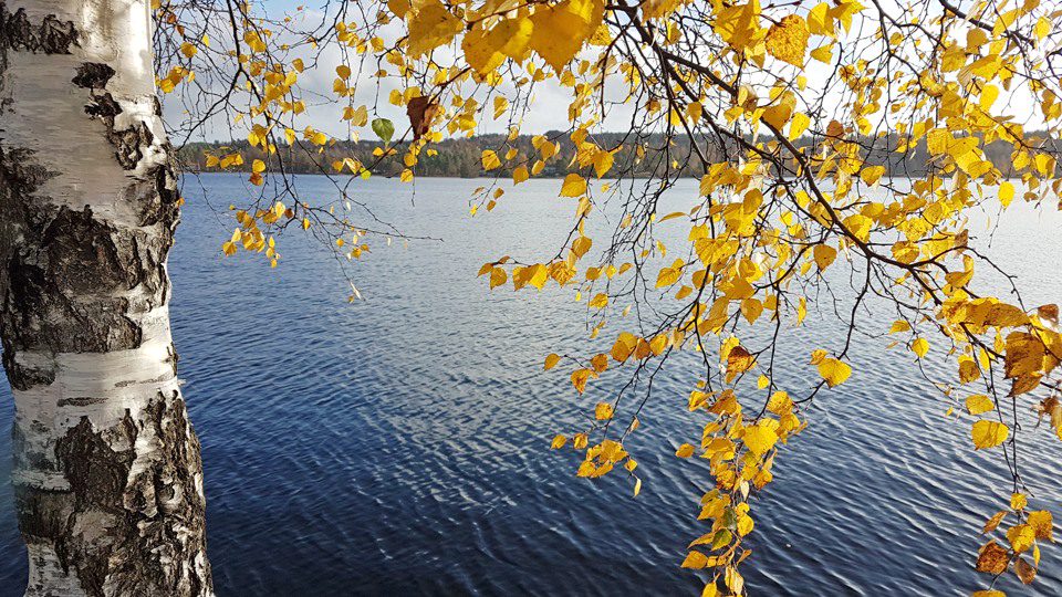 God hälsa i vardagen för seniorer