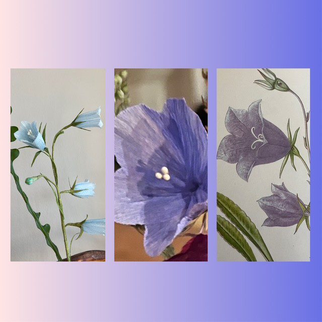 Lär dig göra din egen pappersblomma - Blåklocka Information