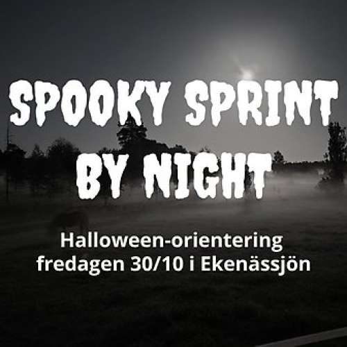 Spooky Sprint by Night