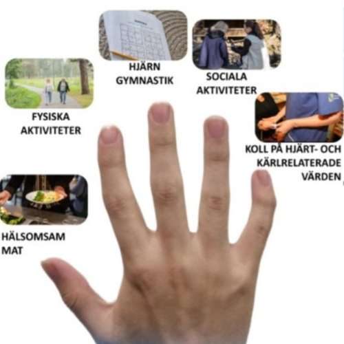 Nyfiken på Femfingermodellen