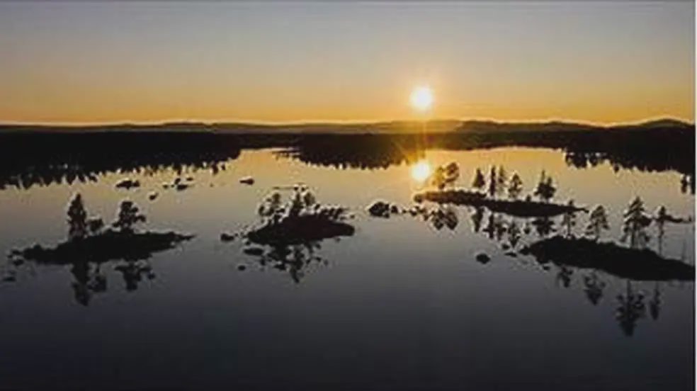 Lyssna Filmvisning: Naturskogar i Sverige, ”sjumilaskogen