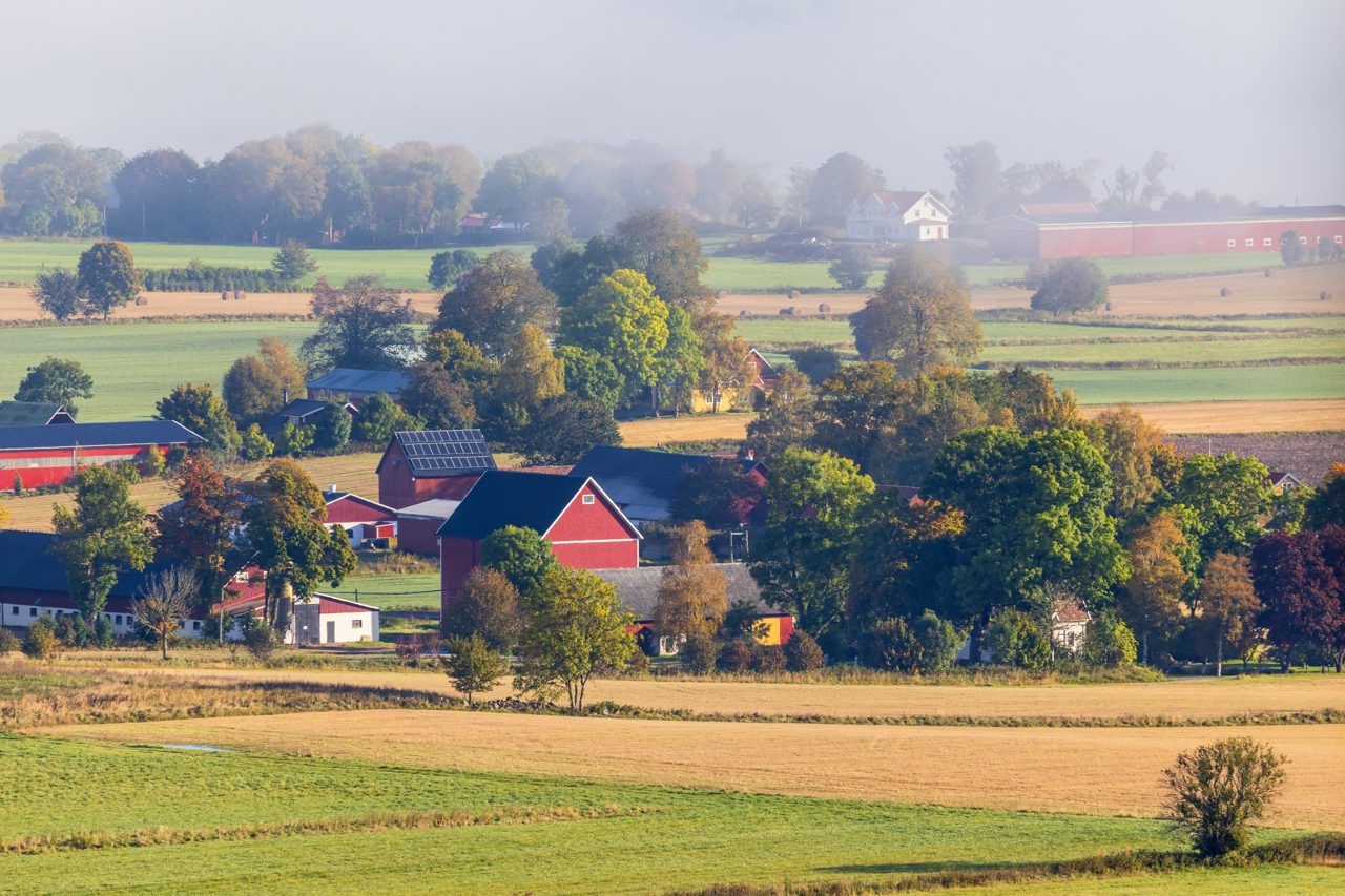 Utveckla din mindre gård