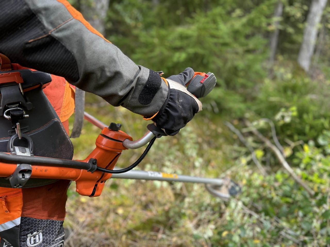 Röjsågskörkort Vetlanda RA+RB Information
