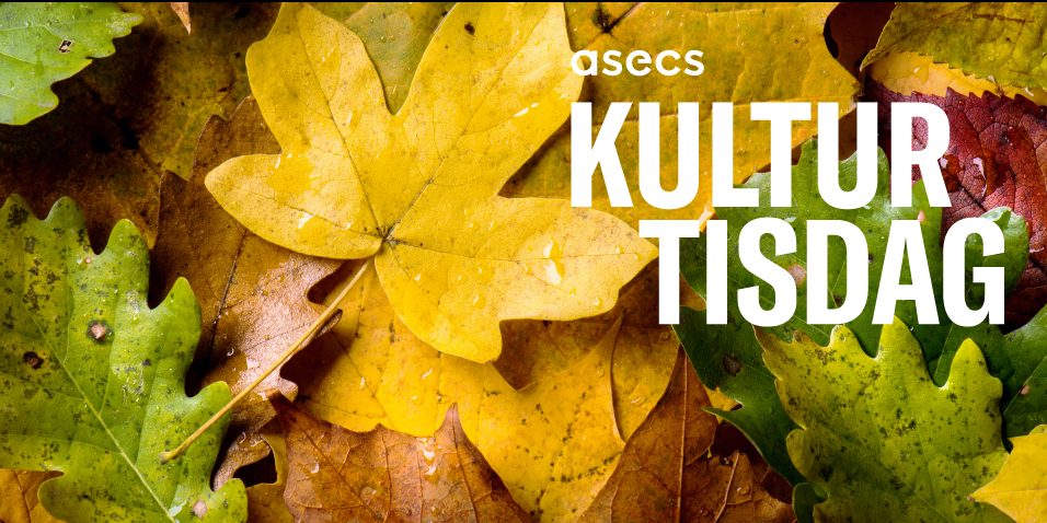 Asecs Kulturtisdag